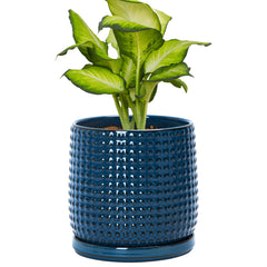 D'vine Dev front view of midnight blue beaded ceramic pot showing clean shape and color