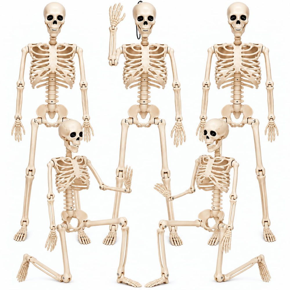 Daricano pack front view showing five skeletons and clear labeling for quick setup