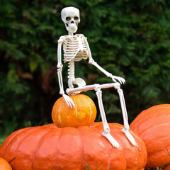 Daricano hanging skeletons on porch creating eerie motion and curb appeal