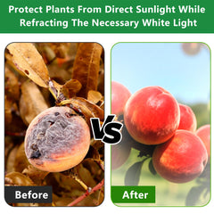 DECOHS cover on a fruit tree in garden demonstrating sun protection