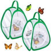 DECOHS front view of two cages, clear visibility and protection