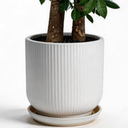 Deep Dream front view ceramic pot showing modern stripes and sturdy build benefits