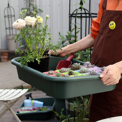 Defemim tray holding multiple small pots demonstrating organized pot storage benefit