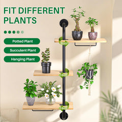 DELLAN close-up of wood shelf grain highlighting sturdy finish and natural appeal
