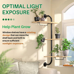 DELLAN shelves filled with plants in a window showing optimized light exposure