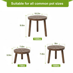 Delma assembled trio in living room showing layered plant styling benefit