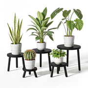 Delma front view of five black wood plant stands showing elegant display benefit