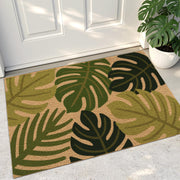 DEXI front packaging showing Monstera design and welcoming curb appeal