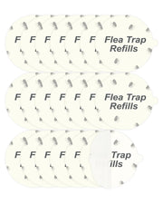 Dichroma front packaging showing 20 refill discs and brand for easy restocking