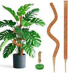 Dimpoo front product pair showing two 39-inch moss poles and benefits