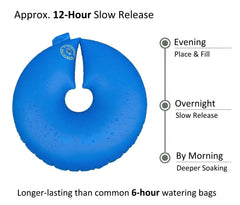 Discipline Essentials filled ring releasing water slowly overnight benefit