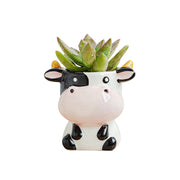 DIYOMR cow planter front view showing cute design and bright finish