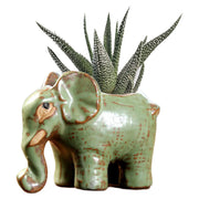 DIYOMR elephant planter front view showing cute design and decorative charm