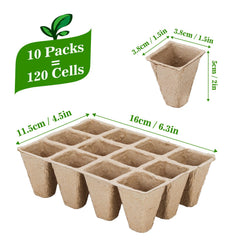 Doter close-up of peat cell texture demonstrating moisture retention benefit
