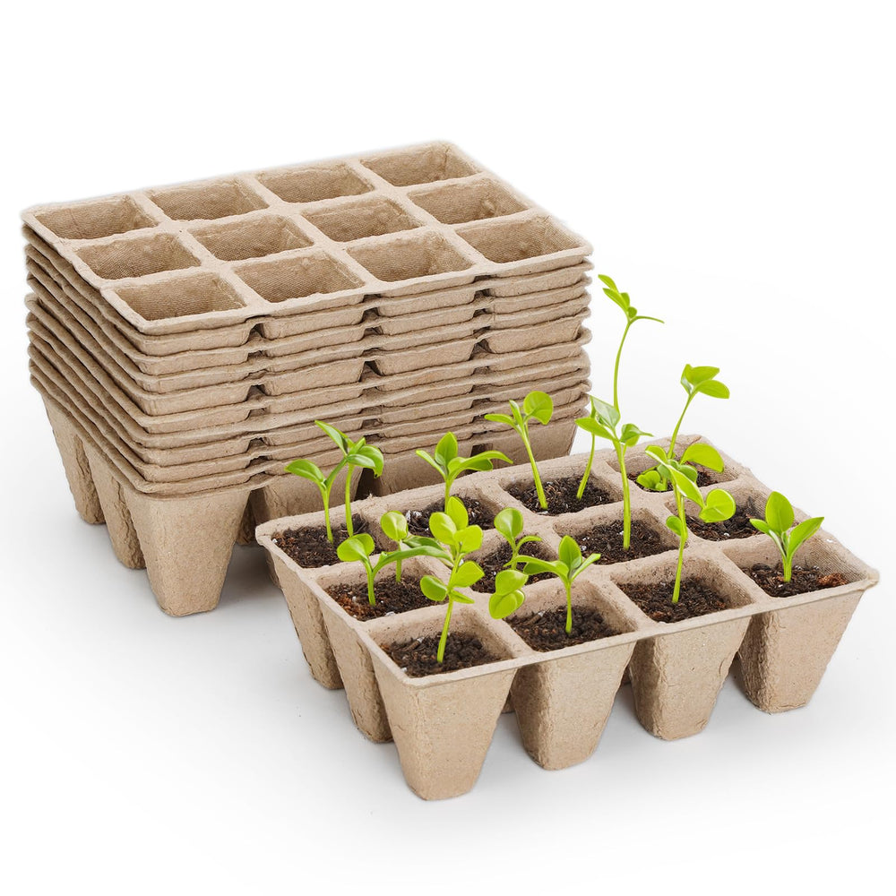 Doter front packaging showing 120-cell biodegradable trays and eco benefit