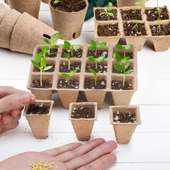 Doter trays arranged in greenhouse highlighting space-efficient layout benefit