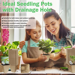 Doubleggs seedlings in peat pots demonstrating strong early root development