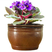 Dphagesy copper pot front view showing elegant finish and stability