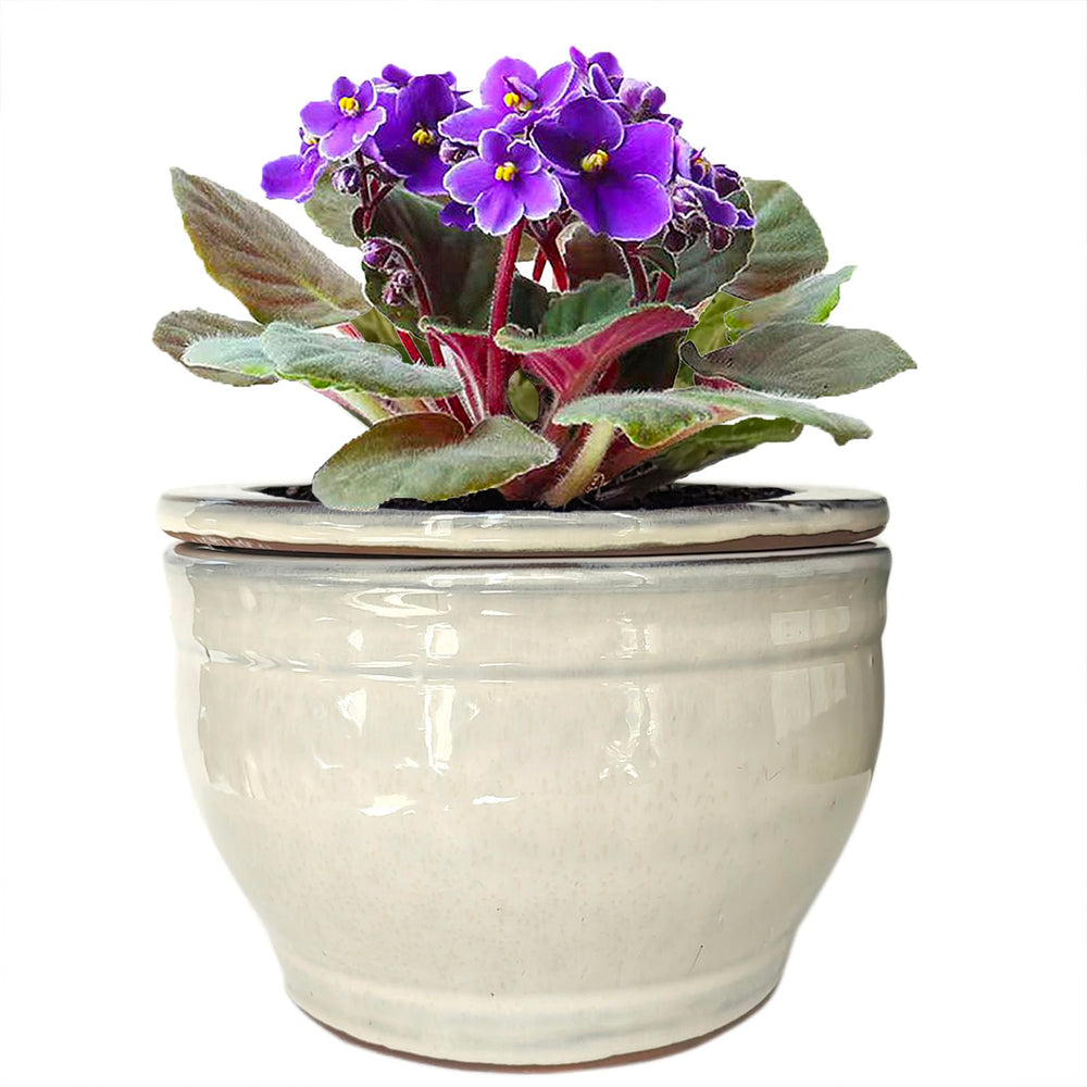 Dphagesy front view white pot showing clean modern design and balance
