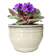 Dphagesy front view white pot showing clean modern design and balance