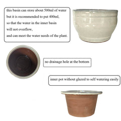 Dphagesy pot with African violet staged showcasing healthy foliage without wet leaves