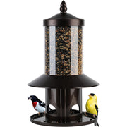 Dreamdrawer feeder front view showing feeding ports and seed access, attracts more birds