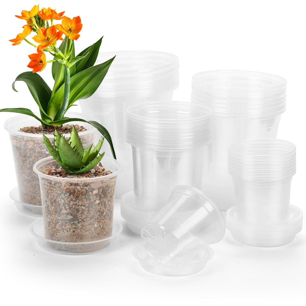 DUNPUTE front view of the 40-pack clear pots showing size assortment and convenience