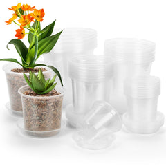 DUNPUTE front view of the 40-pack clear pots showing size assortment and convenience