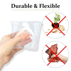 DUNPUTE clear pot revealing healthy seedling roots for easy monitoring benefit
