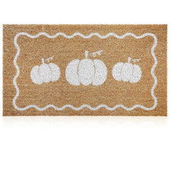 Dunzy mat beside door showing 16.5x30 inch size and proper fit