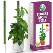 duspro 42-inch moss pole front view showing full height and natural look, supports vertical growth