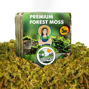 DUSPRO front package showing compact dry moss and brand