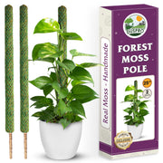 DUSPRO front view of two 25-inch moss poles showing neat support