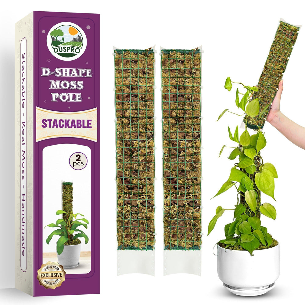 DUSPRO front view of D-shaped moss pole showing mesh and profile benefit