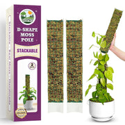 DUSPRO front view of D-shaped moss pole showing mesh and profile benefit