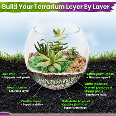 Duspro green and sphagnum moss with decorative stones, adds natural surface texture