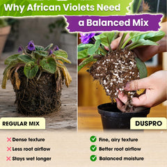 Duspro view of perlite and pumice pieces for improved drainage
