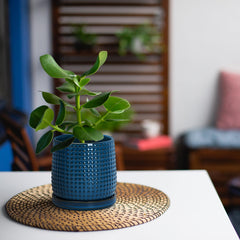 D'vine Dev close-up of beaded texture highlighting stylish detail and tactile finish