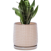 D'vine Dev front view of beaded ceramic planter showing shape and finish benefit styling