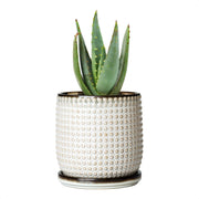 D'vine Dev front view of smoked white pot showing clean silhouette and modern look