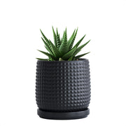 D'vine Dev beaded pot front view showing elegant design and compact size