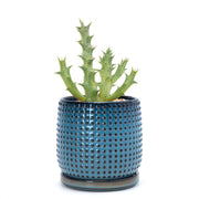 D'vine Dev front view of ocean teal beaded pot showing design and balance