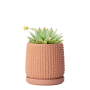 D'vine Dev front view of beaded terracotta pot showing decorative finish and balance