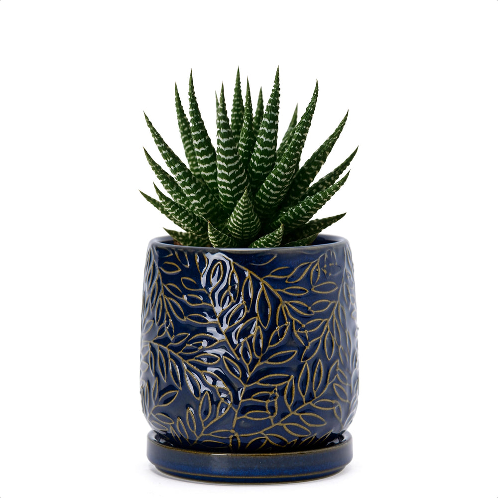 D'vine Dev front view of midnight blue planter showing embossed leaves and stylish finish