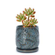 D'vine Dev front view of ocean teal planter showing embossed leaves and stylish design