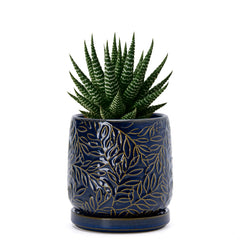 D'vine Dev front view of midnight blue planter showing embossed leaves and stylish finish