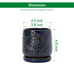 D'vine Dev planter with matching ceramic saucer showing neat water collection benefit