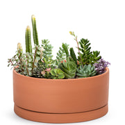 D'vine Dev front view of 12-inch terracotta planter showcasing modern finish and balance