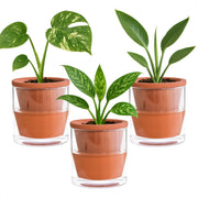 D'vine Dev front view of 3-pack planters showing neat gift-ready set and durability