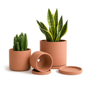 D'vine Dev front view of all three terracotta pots with saucers, shows cohesive set benefit